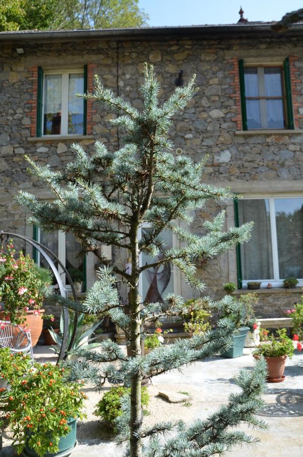 Chambre Bounty, B&B, Cuisine Privee, Lit Queen Size, Terrasse, Parking, Garage Olliergues Exterior foto