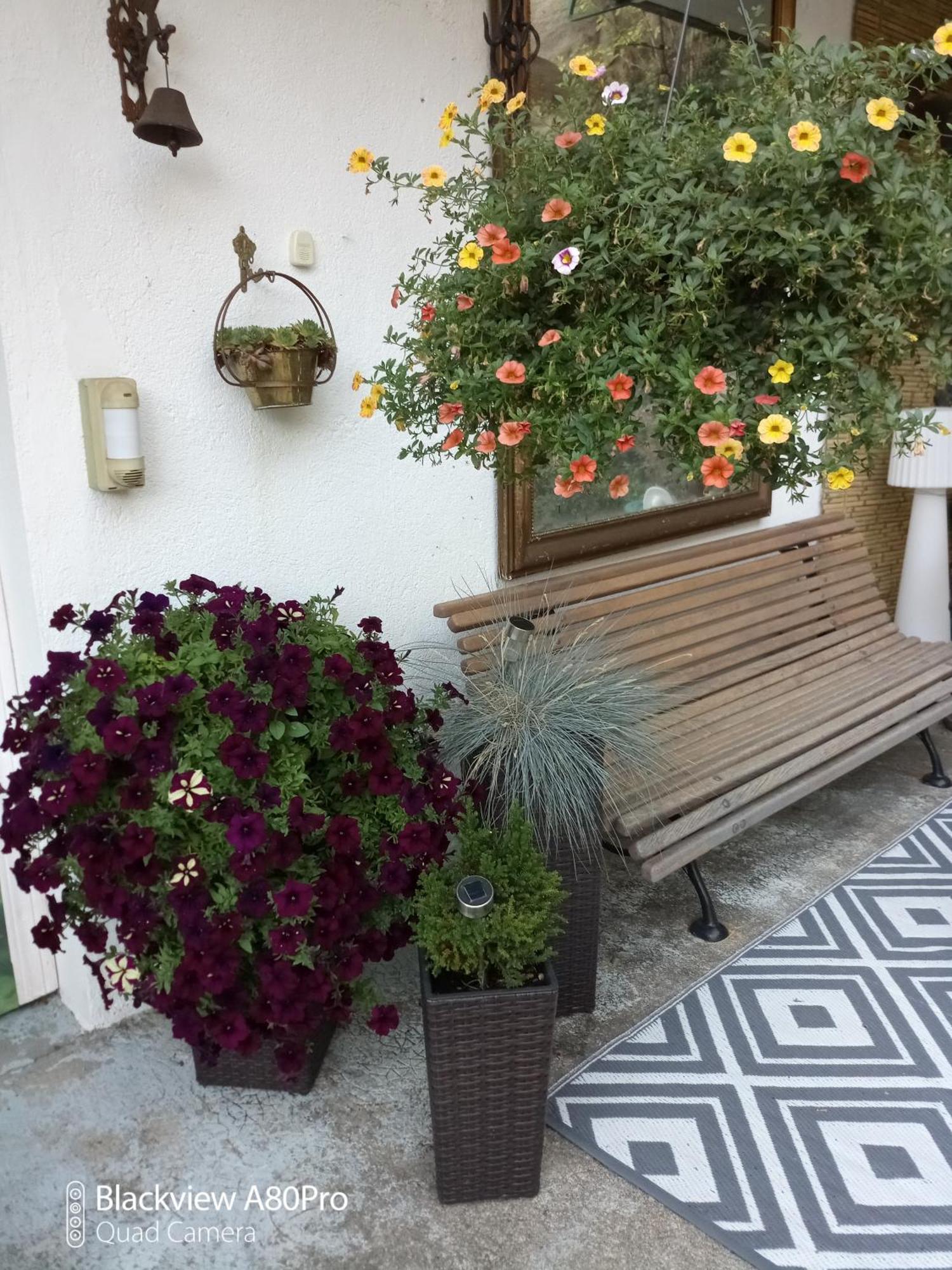 Chambre Bounty, B&B, Cuisine Privee, Lit Queen Size, Terrasse, Parking, Garage Olliergues Exterior foto